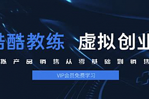 VIP部落教练:虚拟产品销售_零基础到销售高手2.0,日赚千元实操课程