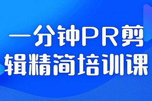 100元高级视频剪辑教程:一分钟PR剪辑精简培训课