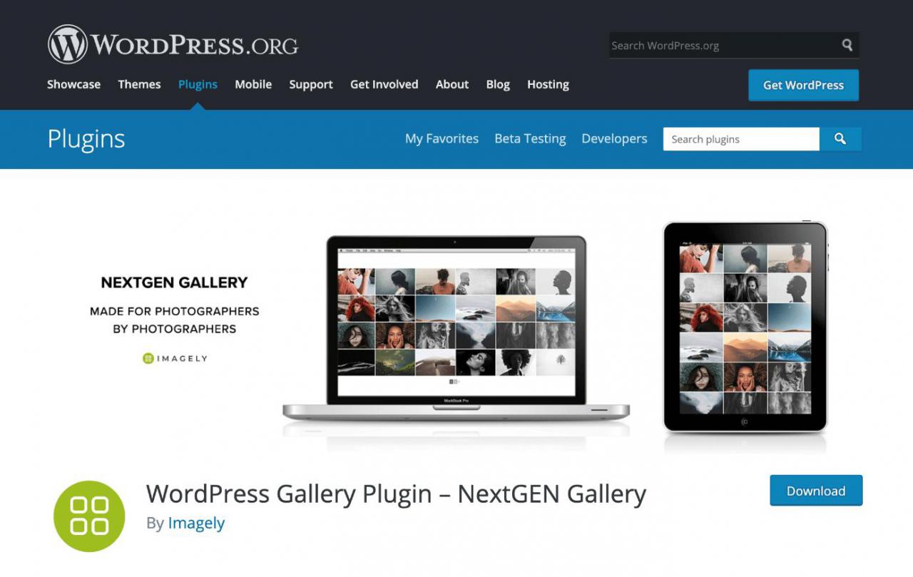 NextGEN Gallery 可在 wordpress.org 下载